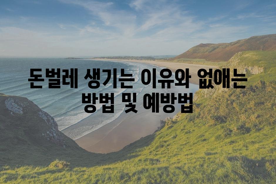 샘플 (86)