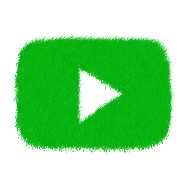 블로그 & 유튜브 콘텐츠를 함께 운영하는 방법