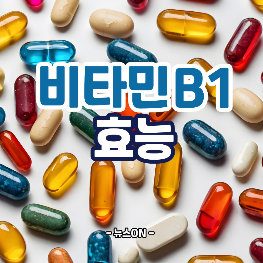 비타민B1 효능