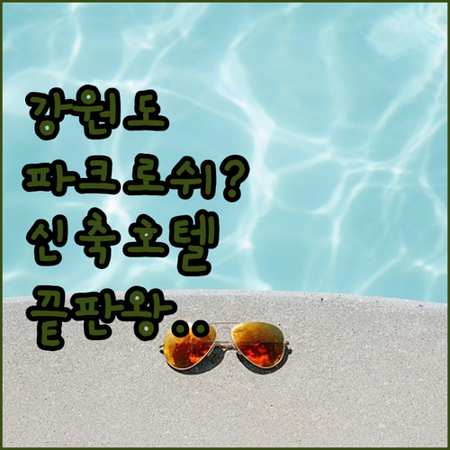 강원도 여행 숙소 추천 파크로쉬부터 ..