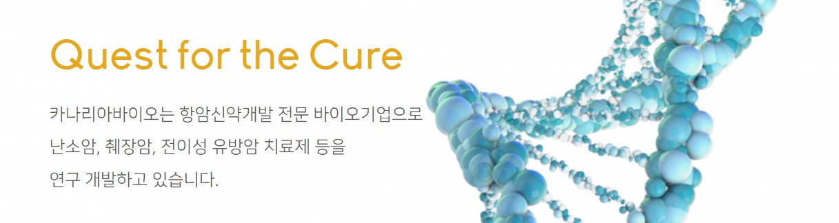 카나리아바이오 하한가 루머 및 기업정보 차트 전망