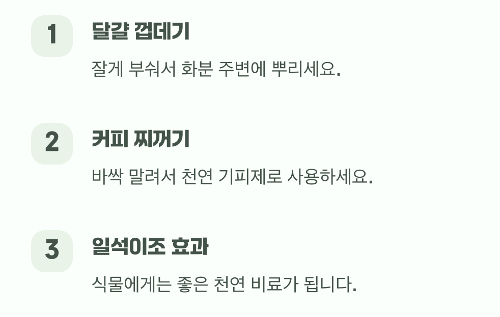 넘을 수 없는 벽, 물리적 방어선 구축하기