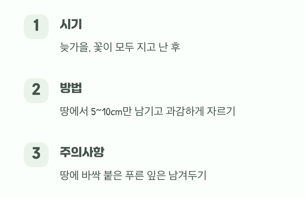 가을맞이 단정한 이발