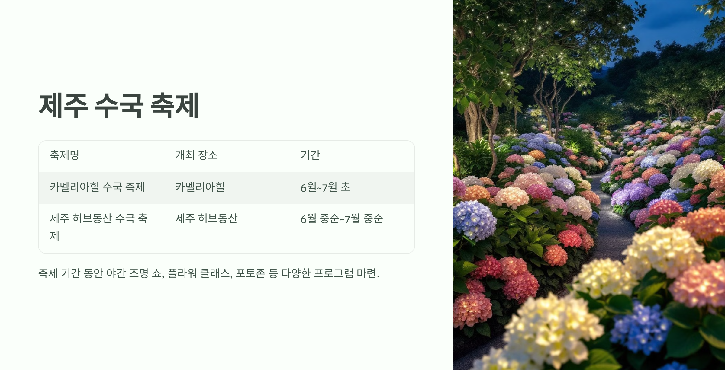 축제정보