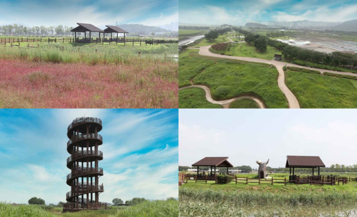 시흥 갯골생태공원