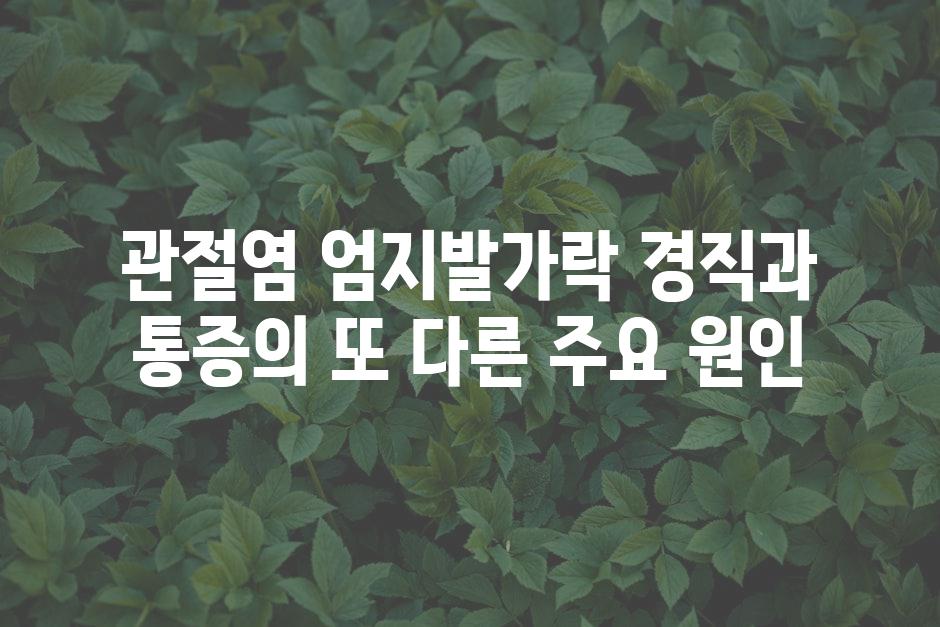 관절염 엄지발가락 경직과 통증의 또 다른 주요 원인