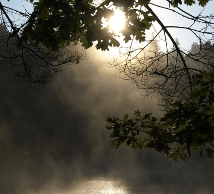 조모상 뜻 부고 위로 문자4