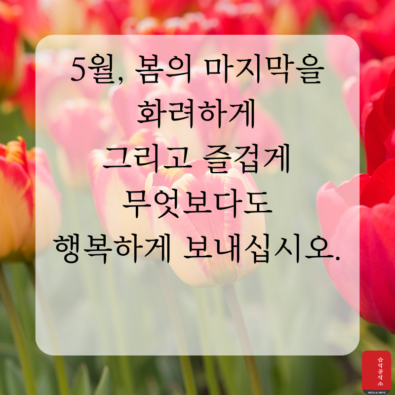2025년 5월 인사말 문구 이미지 모음집