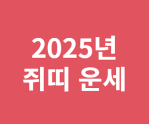 2025년 쥐띠 운세