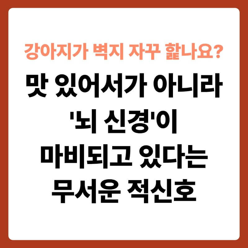 방 구석 모퉁이 벽지를 코를 대고 집요하게 핥고 있는 소형견의 모습 옆으로, 실내 공기층의 높이별 오염도를 투명한 과학 그래픽으로 묘사한 장면