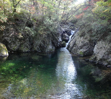 치악산 자연휴양림4