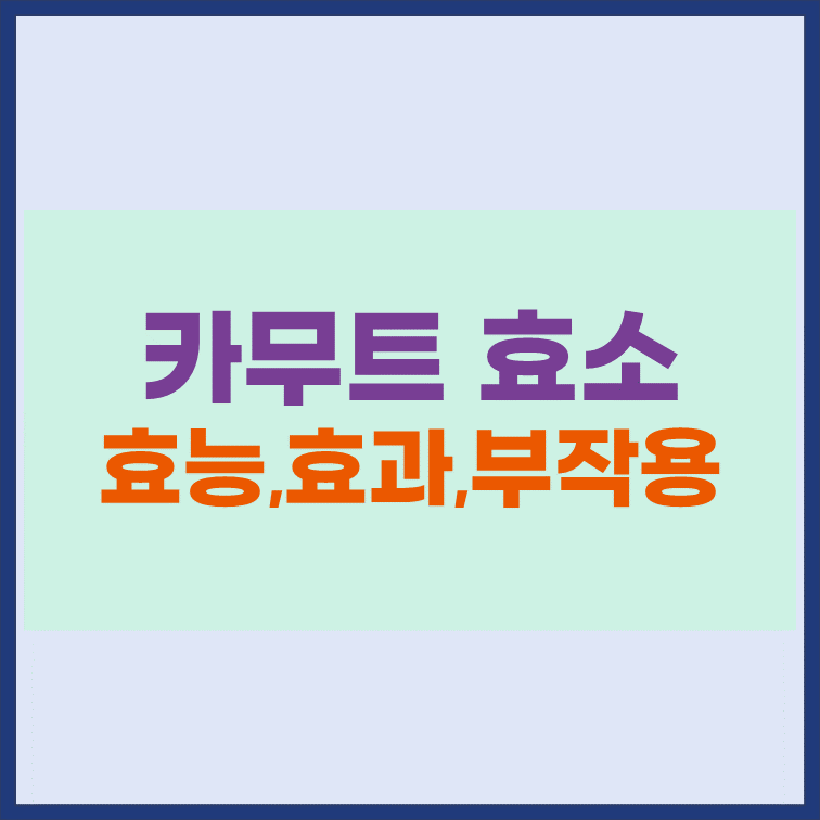 카무트-효소-효능-효과-부작용