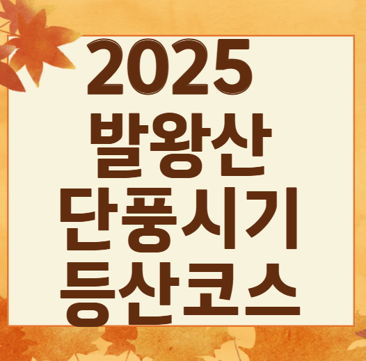 발왕산 단풍 절정 시기와 추천 코스 TOP3