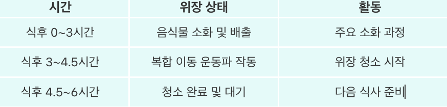 위장 청소 타임라인