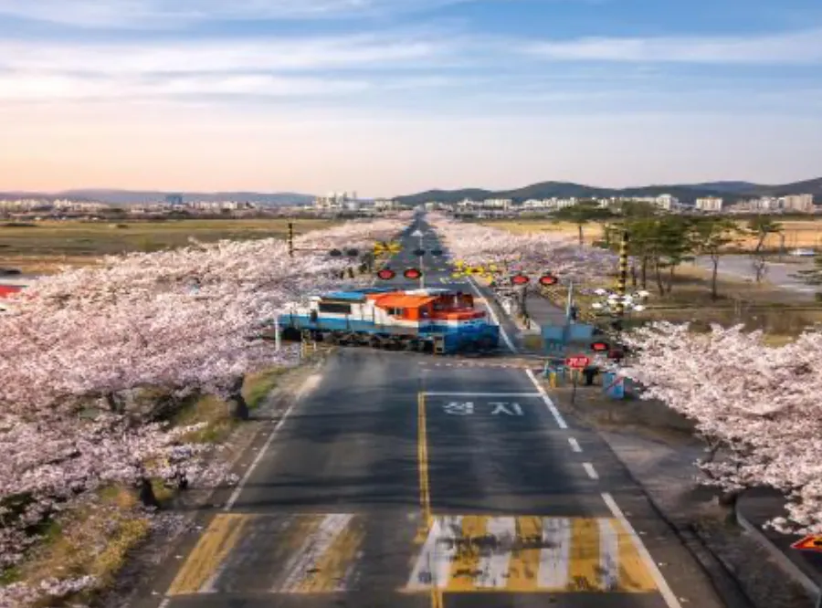 코레일-기차표-예매-바로가기-기차표예약-코레일예매