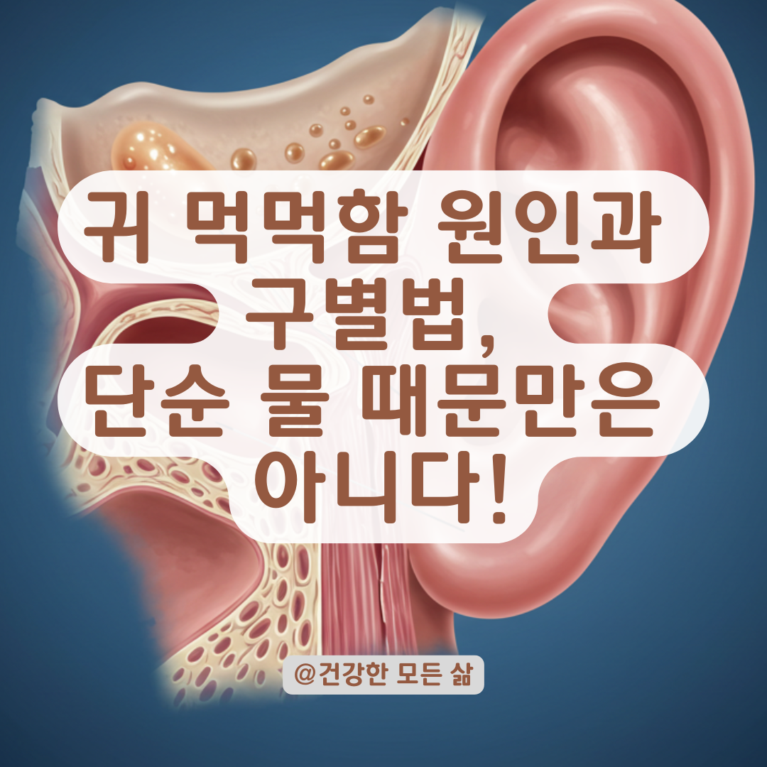 귀가 먹먹하고 소리 울리는 느낌, 물이 아닌 다른 원인일 수도 있습니다.
