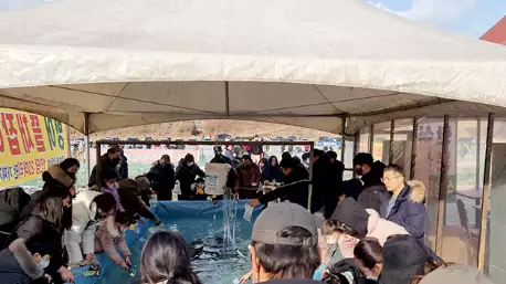 청평 설빙 송어빙어축제