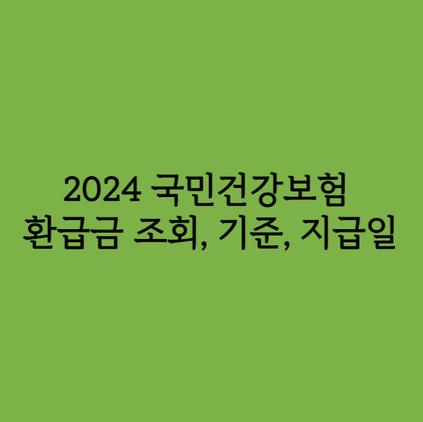 2024 국민건강보험 환급금 조회