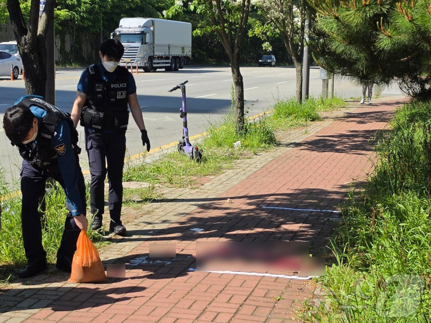 광주 여고생 흉기 피습 참변: 사건의 전말과 사회적 안전망의 한계 분석