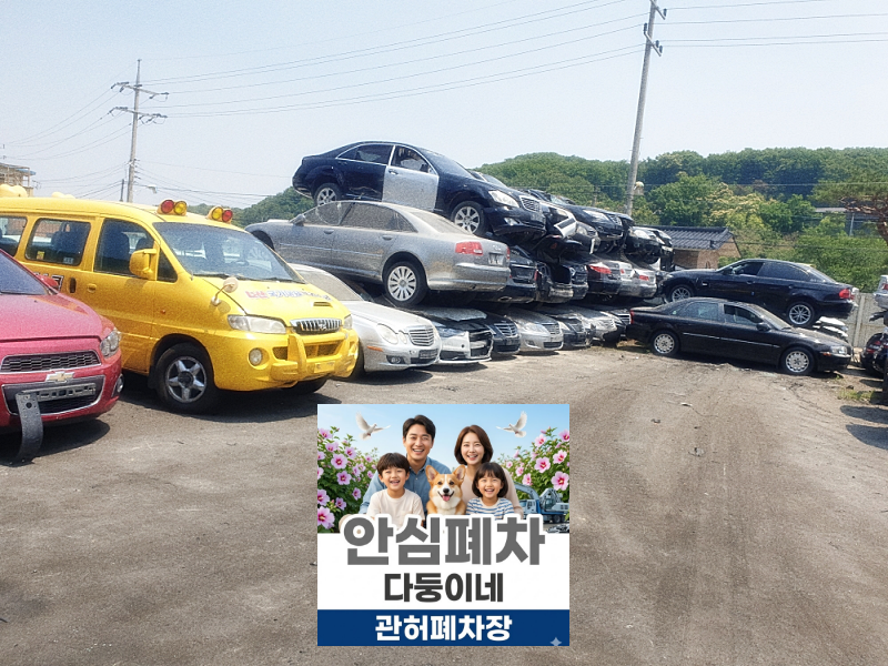 담보대출 체납 차량 확인표