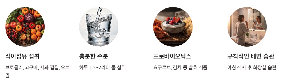 변비 관리 방법