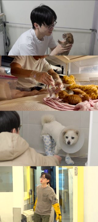 이강태 프로필 전참시 이강태 유튜버 포켓멍센터