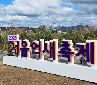 서울 억새축제