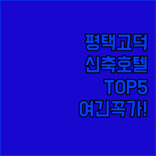 평택 호텔 추천 TOP 5 고덕 신도..