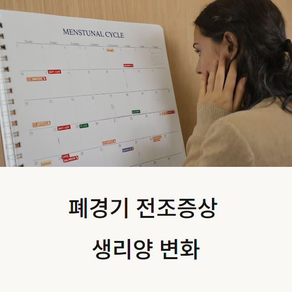 폐경기 전조증상 생리양