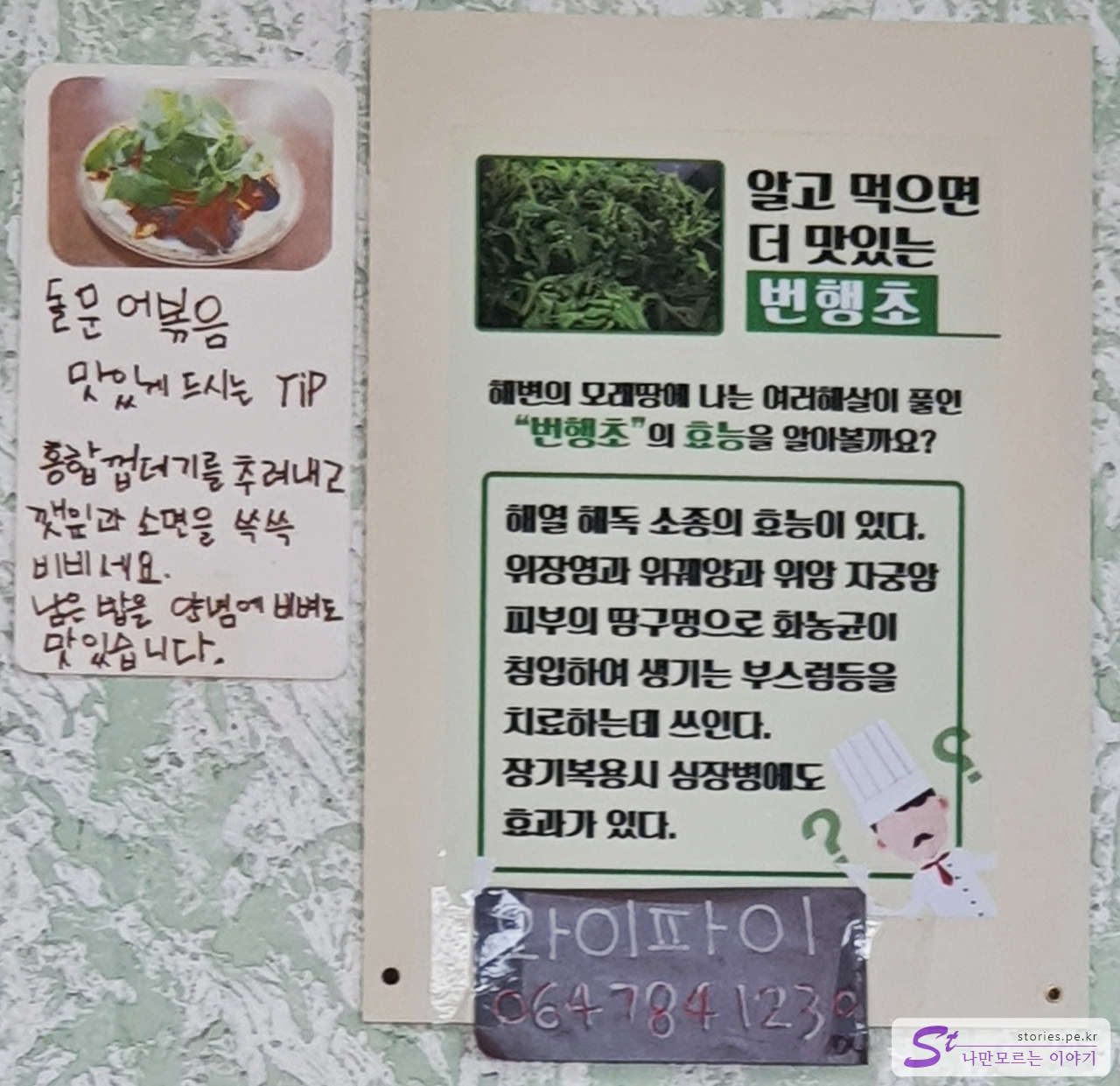 번행초 효능