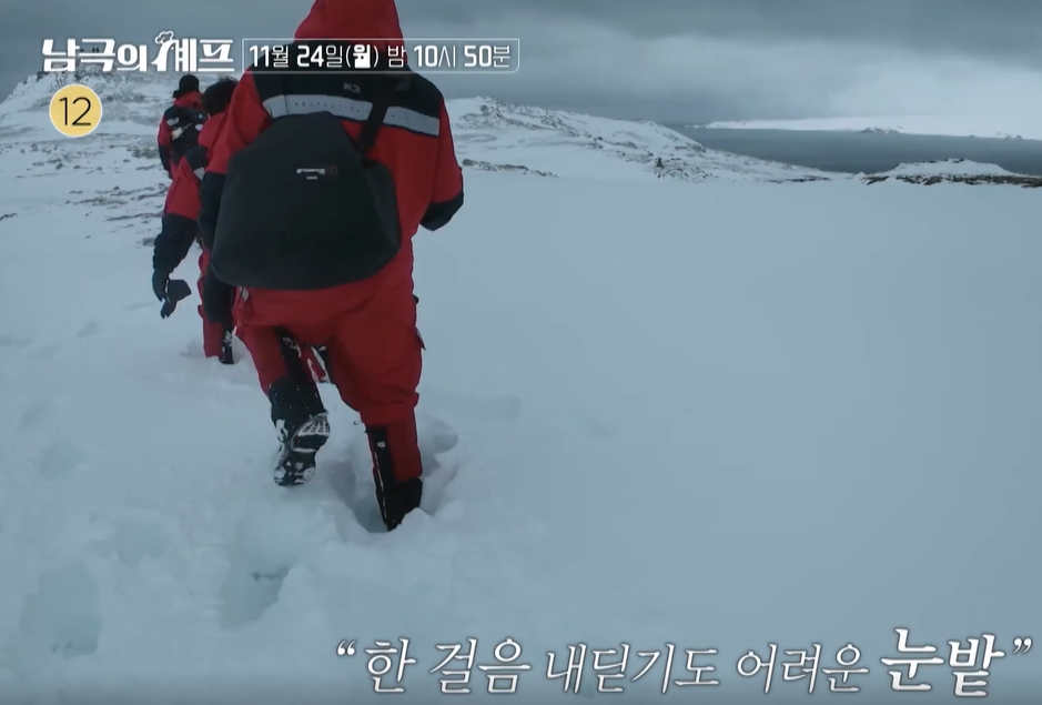 남극의 셰프 출연진 몇부작 ott 백종원