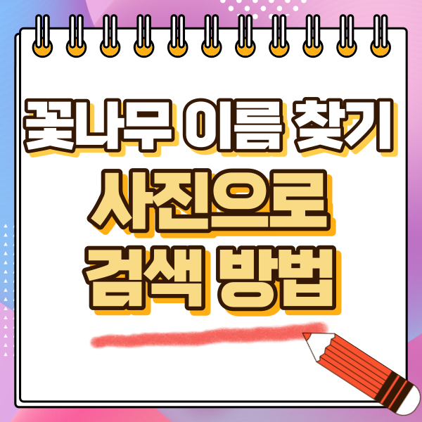 섬네일