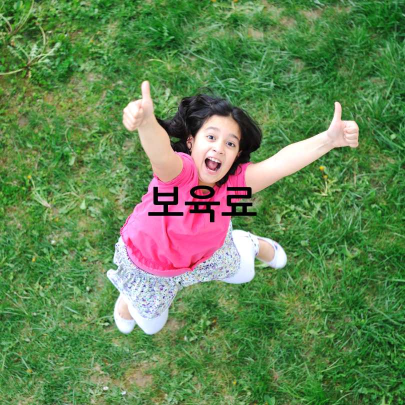 보육료&amp;#44; 양육수당&amp;#44; 유아학비 사전신청 방법