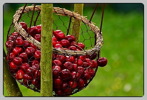 관절에 좋은 음식 운동 추천