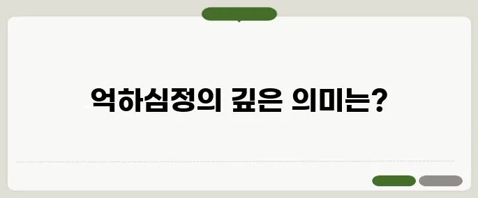 억하심정 뜻과 예시 마음속 깊은 원망을 표현할 때