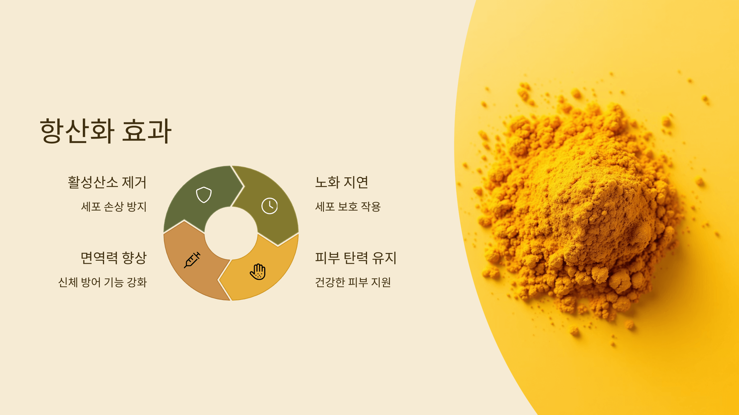 강황가루 사진입니다.