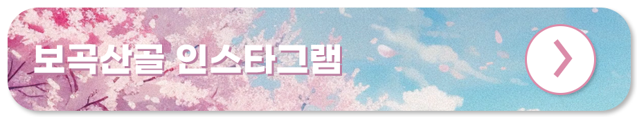 금산 보곡산골 산벚꽃 축제