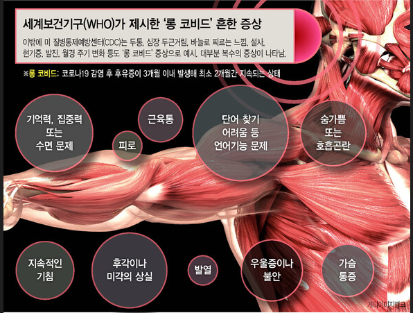 롱-코비드-증상