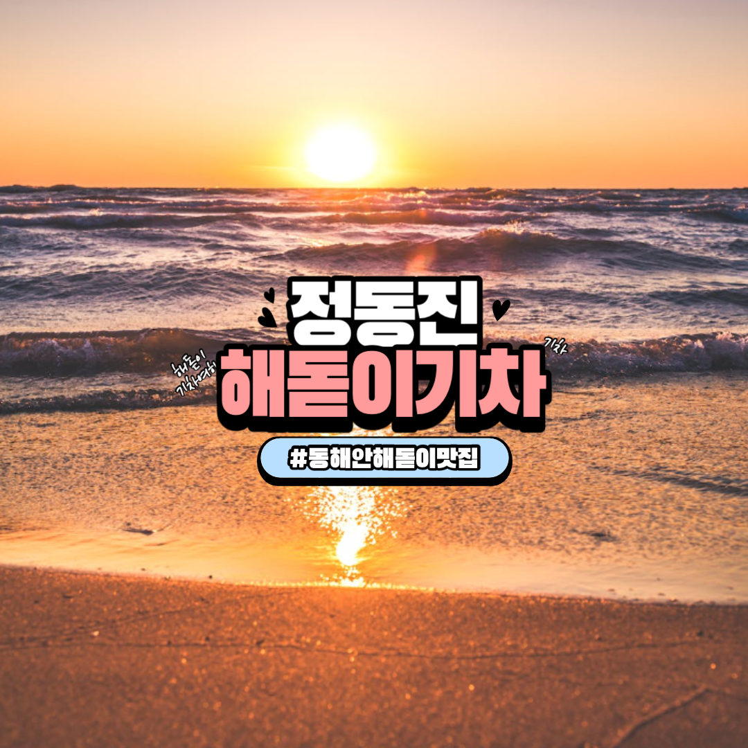 정동진 해돋이 기차
