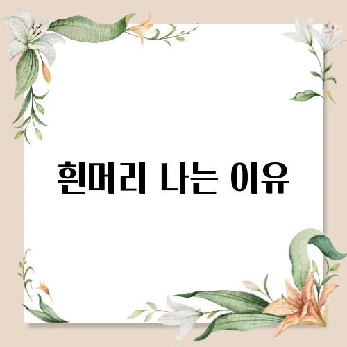 흰머리 나는 이유