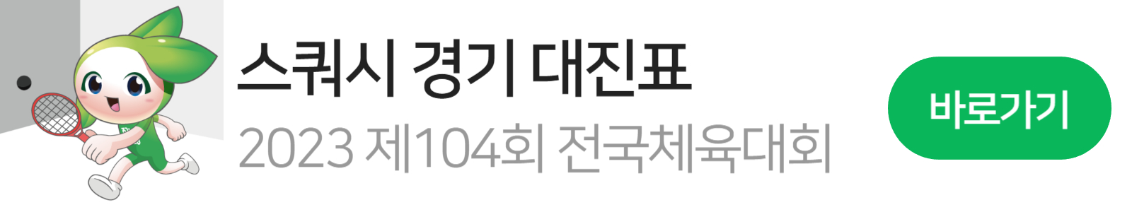 전국체전 스쿼시 마스코트 3