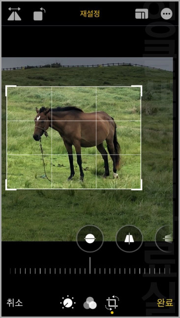 아이폰 사진 자르기