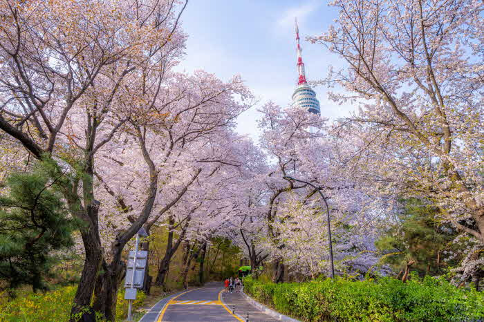 남산공원
