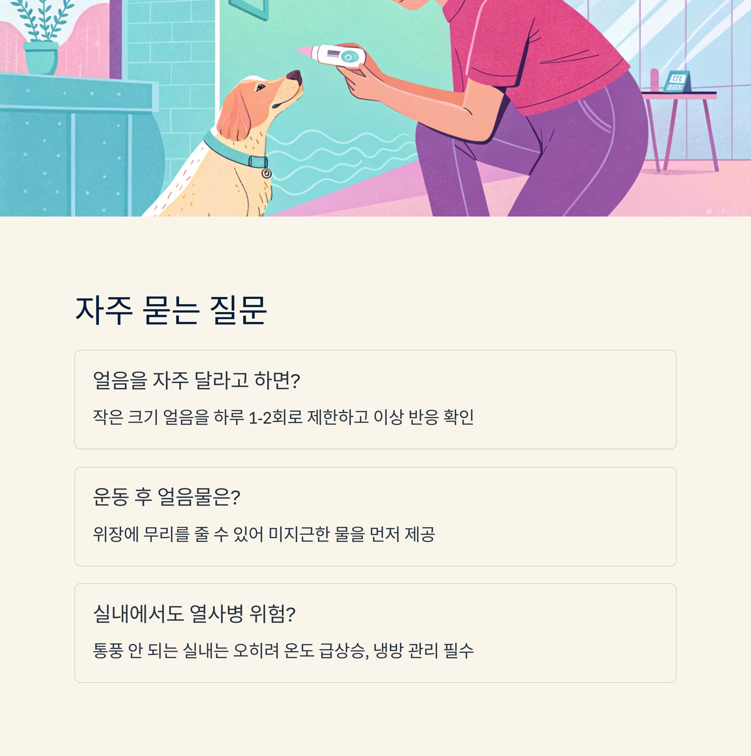 자주 묻는 질문