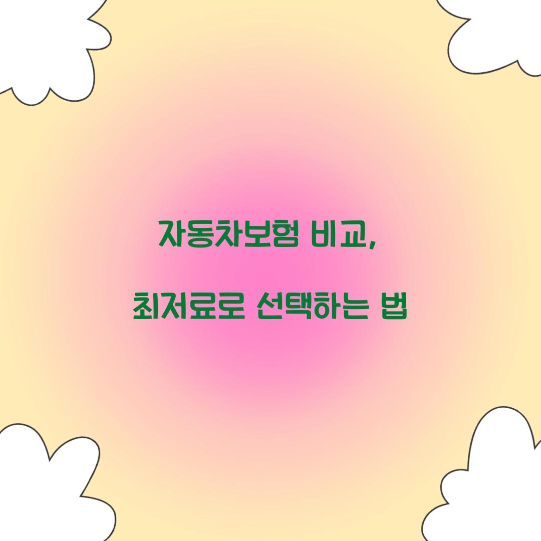 자동차보험 비교