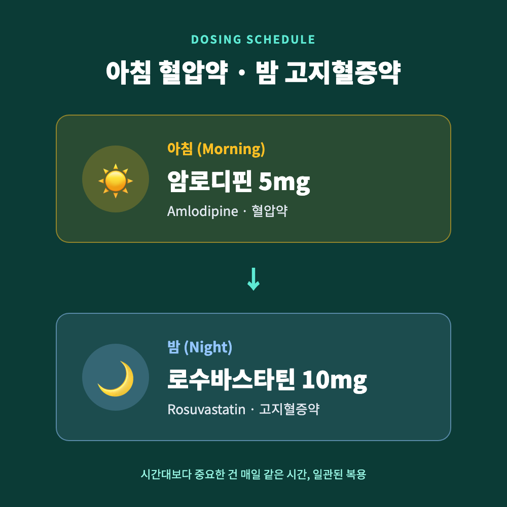아침엔 고혈압약 암로디핀을, 밤엔 고지혈증약 로수바스타틴을 복용하는 하루 일과를 시각화한 복용 시간표