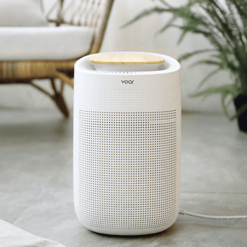 제습기 추천 순위 TOP 5(25년 7월) - 네이버, 쿠팡 판매 랭킹 비교 분석