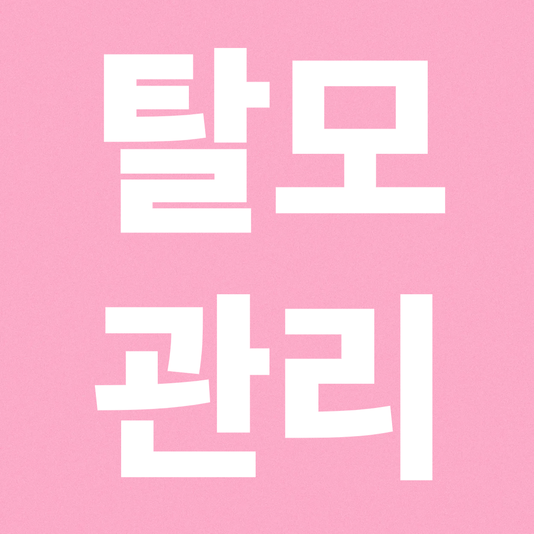 탈모관리