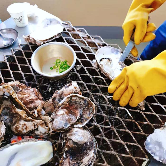 생방송오늘저녁 섬진강 하동 벚굴 구이 강굴 벚굴찜 벚굴전 벚굴죽 재첩국 재첩회무침 맛집 추천