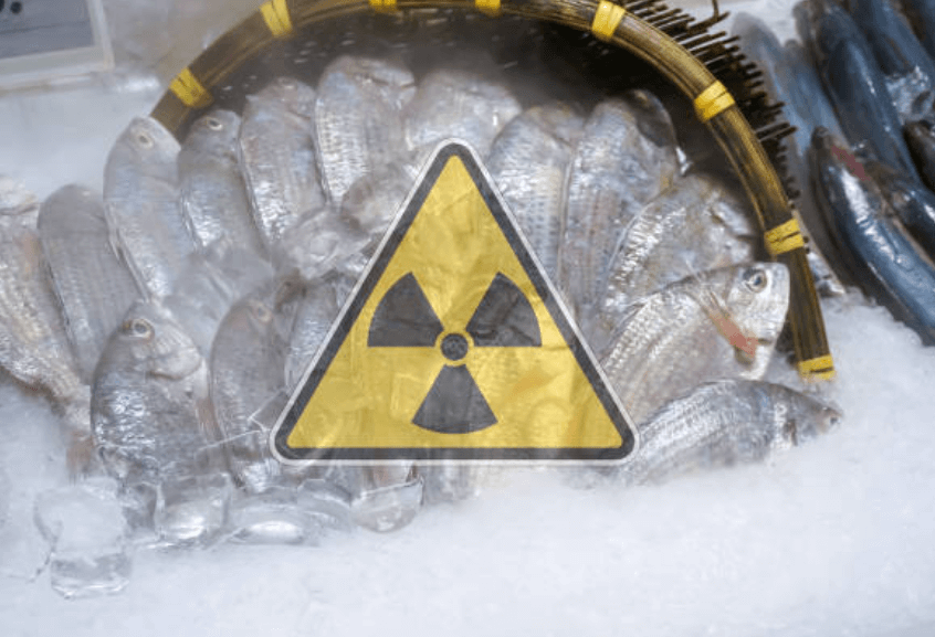 후쿠시마 오염수